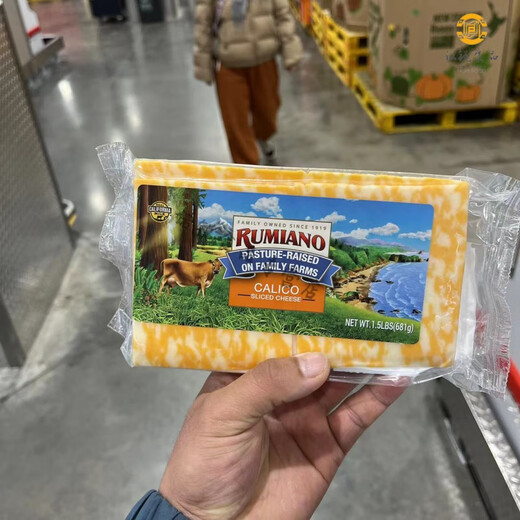 Sam's Store Achat Colby Cheese tranches 681g Slices de fromage américain importées Burger Sandwich Cheese Tranches Colby Fromage tranches