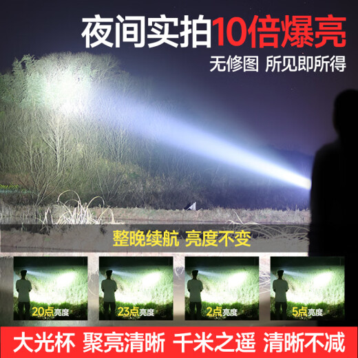 鸿钻HZA强光头灯超长续航亮夜钓赶海头戴式手电筒矿灯远射户外照明大容量 9888-智能电显-4锂电-续航12-24H
