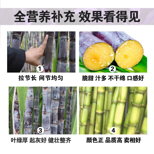 Special fertilizer for sugarcane, sugarcane Zhuangfengsu, lengthening, straightening, sweetening, foliar fertilizer, rooting, strong seedlings, rapid jointing, Australian brand 1500g*12 bottles
