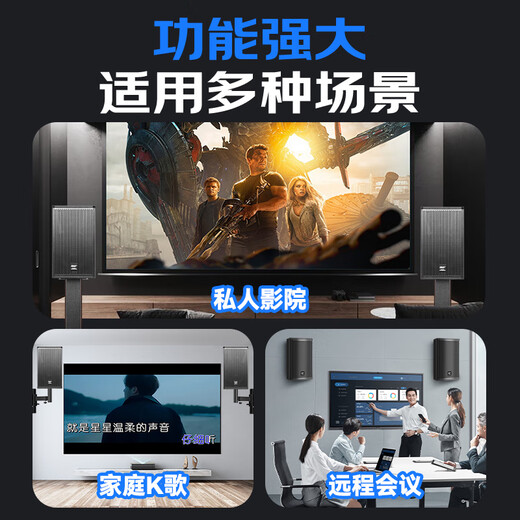 Xianke KP10V professional stage audio 10-inch large conference room ktv private room outdoor event wedding passive speaker single