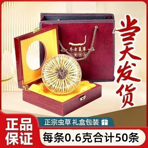 Boîte-cadeau Cordyceps pour les anciens Boîte-cadeau Cordyceps pour les aînés Boîte-cadeau Cordyceps pour les anciens