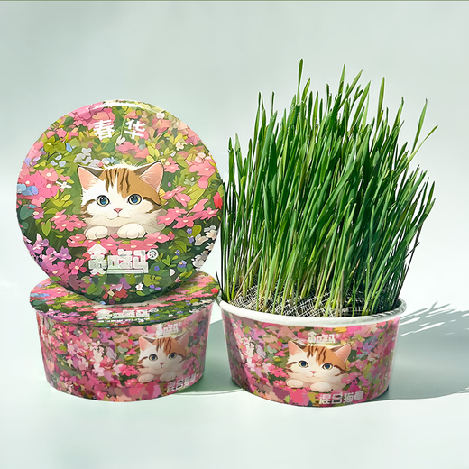 Greedy horse cat grass, lazy cat grass, ready-to-eat dehairing balls, cat snacks, hydroponic instant noodles, summer cat grass, winter style, Aoxue Lingshuang, combination 7 (single bowl), 1 pack