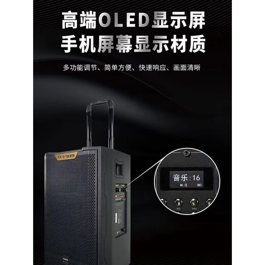 万利达（Malata）音响飞天三代M9866户外广场舞移动拉杆K歌大功率音箱 M+9869[15寸喇叭]三分频直播音