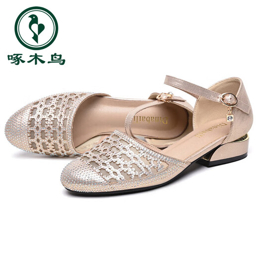 Woodpecker genuine leather thick heel bag-toe sandals for women soft sole fashion mother shoes summer mesh single shoes low heel hollow round toe women's shoes 699-9 champagne color 40