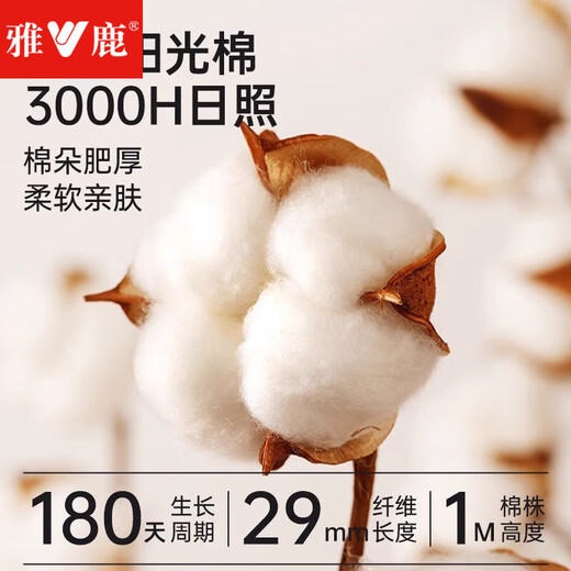 Yalu 2 sets of autumn clothes, long johns, men's pure cotton thermal underwear set, men's winter sweater, linen pants, bottoming cotton sweater, black + dark heather gray, round neck pure cotton suit XL (recommended 130-150Jin Jin equals 0.5kg)