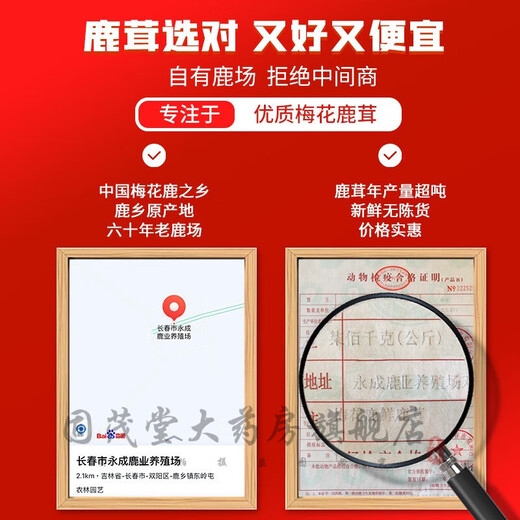 鲜梅花鹿茸 整枝可切片 2024新割头茬含血二杠 泡酒煲汤炖菜均可 【优质鲜鹿茸695克一支】