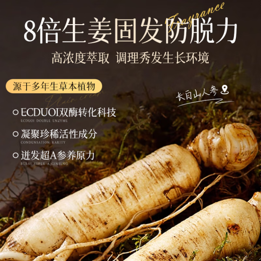 Qingzitang Prevención de jengibre y desarrollo de cabello de cabello Lea de orquidontic que restringiera al cabello resistente al control de aceite resistente a la picazón resistente a la duración de 500 ml