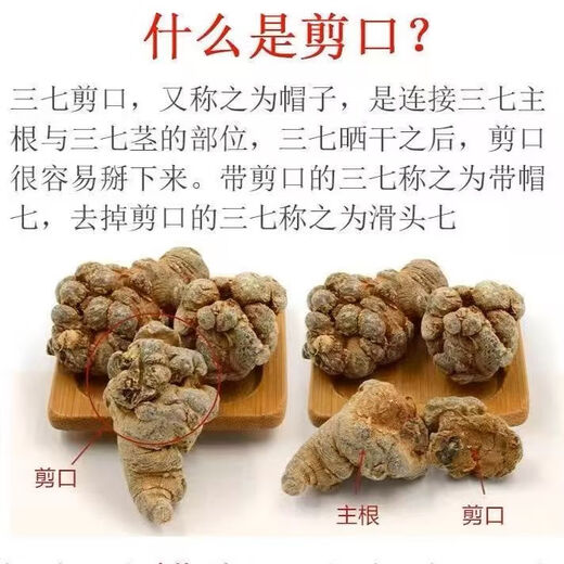 三七 正宗云南文山春三七 中药材整个田七 特选滑头三七 产地直销 500克（每斤30头滑头三七）