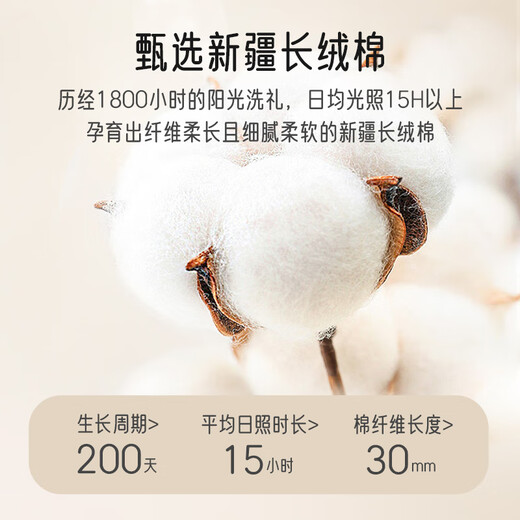 爱宝适婴儿袜子春秋宝宝学步地板袜防滑隔凉脚套儿童早教袜L码3双装S725
