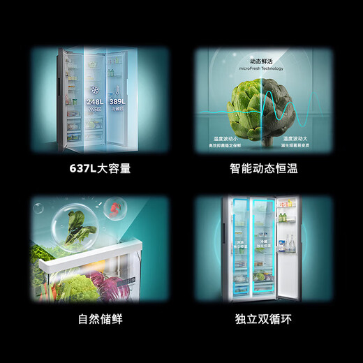 Siemens (SIEMENS) 637-liter double-door independent double-cycle refrigerator first-class energy efficiency energy-saving frequency conversion large capacity air-cooled frost-free precision control constant freshness national subsidy KT99V1250C