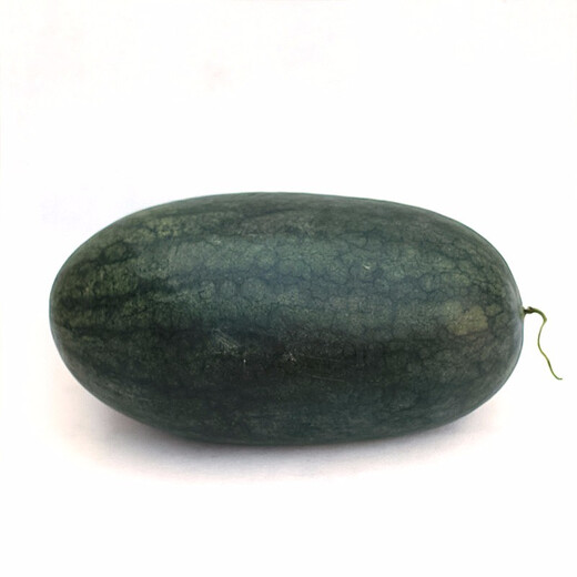 Shouhe Black Beauty Black Skin Watermelon Seeds Extra Sweet Early Maturing Extra Large Melon Seeds Shouguang Vegetables and Fruits Winter and Spring Watermelon Seeds Shouhe Big Fruit Black Beauty Seeds 20 capsules (original)