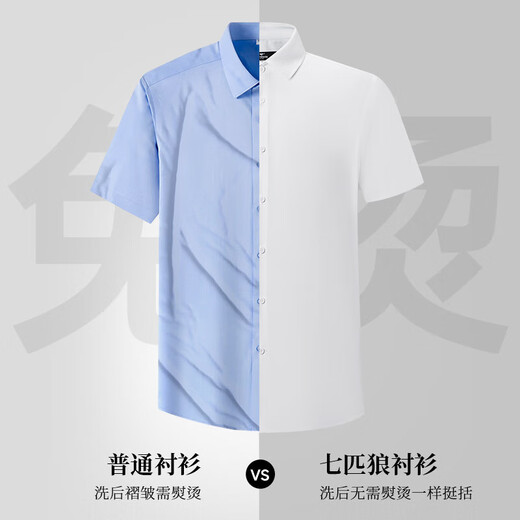 Siete Wolf [AI Bingfeng] Camisa de manga corta para hombres en verano Feel Feeling, antibacteriano, sin escaladera, anti-madrugadores y fácil de cuidar la camisa de negocios para hombres