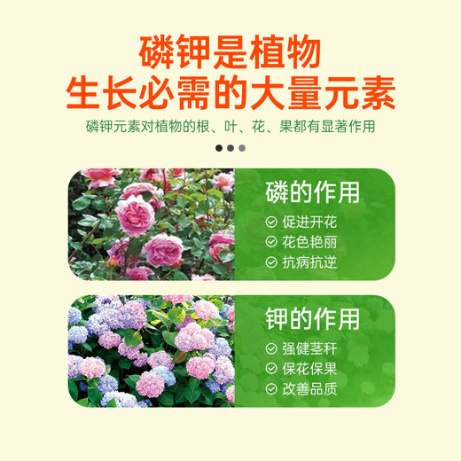 Garden Protector Garden Protector Potassium Dihydrogen Phosphate Fertilizer for Flowers Special Orchid Foliar Fertilizer Water-soluble Fertilizer Flower Fertilizer 36g/bottle (40 capsules)