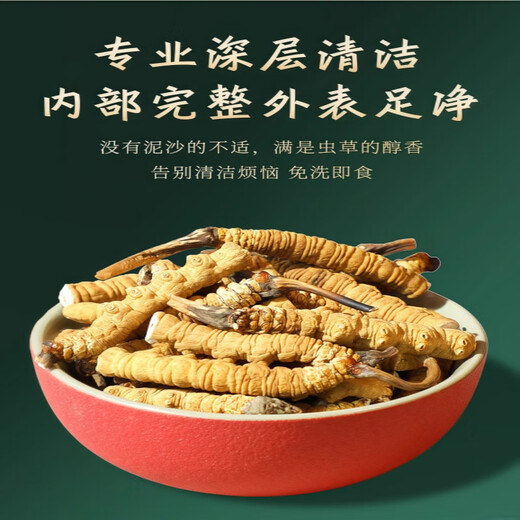 [Inspección de calidad de apoyo] 10 gramos de césped roto grande Cordyceps sinensis Cordyceps sinensis Cordyceps sinensis y fertilizarse. Cordyceps sinensis 10 gramos empacan un gramo de cabello 11 gramos 11 gramos