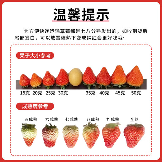 Jingmi Dandong Strawberry 99 Beauty Cream Fruit Gift Box Fresh Fresh Net Weight 2Jin Jin is equal to 0.5kg, single fruit 30g + straight from the source