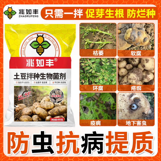 Zhaorufeng Potato Late Blight Special Seed Dressing Agent for Disease Prevention, Antibacterial and Insect Prevention, High Yield Increase Germination Rate, Rooting and Strong Seedling Fertilizer 800g*1 Bag Added Imported Additives