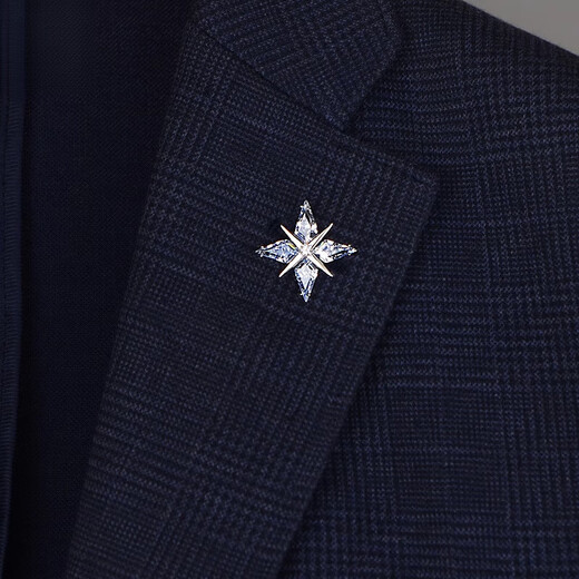 Shijun (SHIJUN) Men's Brooch Men's Suit Luxury Brand Brooch Starlight Exquisite Badge Corsage Shirt Lapel Pin Light Black + Gold Each One Velvet Box