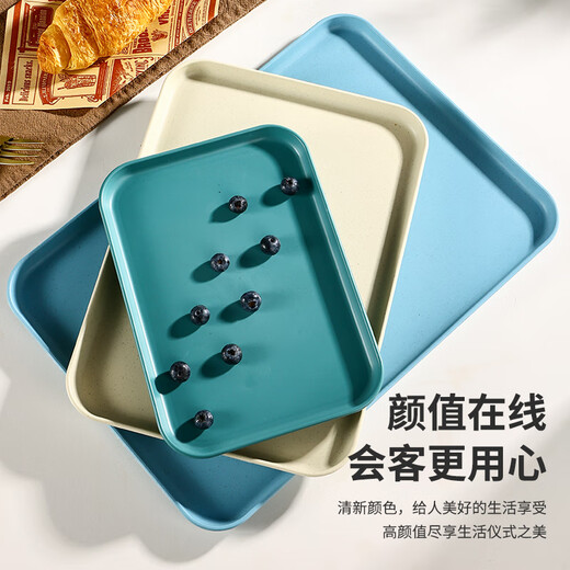 Caizhi (CAIZHI) rectangular tray tea tray household fruit tray breakfast tray storage tray living room snack tray large beige CZ6754