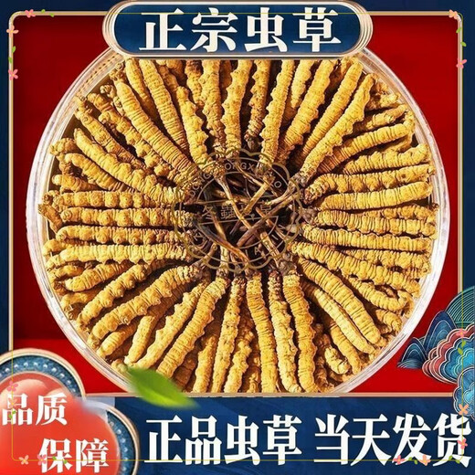 Аутентичные Cordyceps Sinensis Первый период выбрали питательные сухие товары Два грамма подарочных коробки для подарков и питательных тоников Cordyceps, подлинные Cordyceps sinensis в тибетских районах, 50 грамм
