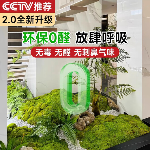 Elegant artificial moss decoration landscaping artificial turf window display moss micro landscape fake green plant bonsai coconut palm silk yellow green immortal moss about 1m*1m