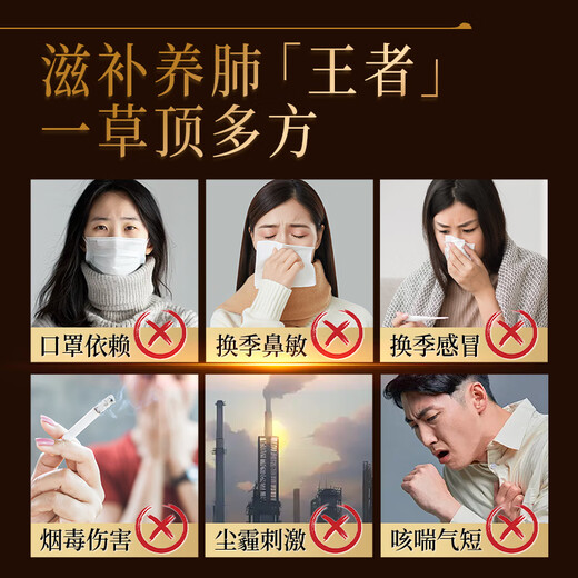 维特健灵 知音虫草礼盒胶囊补品送父母长辈60粒*3盒+10粒*2盒+礼袋送礼