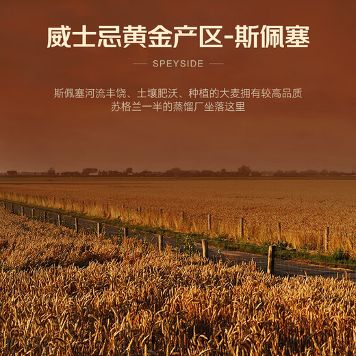 路易马西尼【20年单一麦芽】英国洋酒40°烈酒威士忌500ml单支端午节送礼