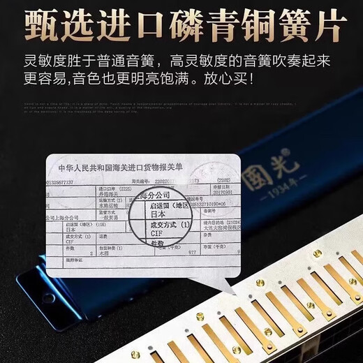 国光德国进口音簧国光28孔复音口琴正品重音专业演奏级24孔初学者入门 24孔黑色【重音】C调【带数字音符】