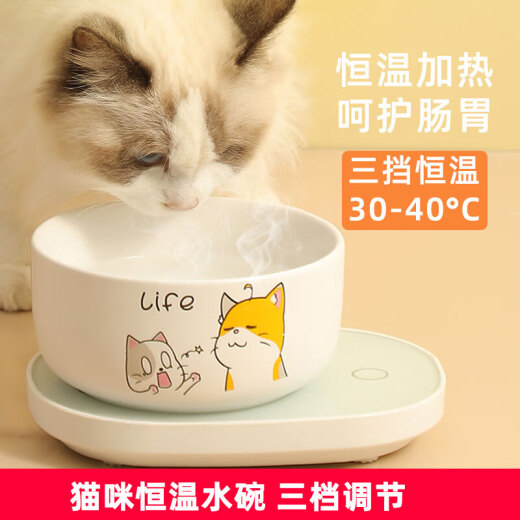 华美龙猫咪恒温加热器水碗加热垫宠物加热饮水机杯垫狗狗冬季酸奶机喝水 [800ml]白色对话喵陶瓷碗+三挡