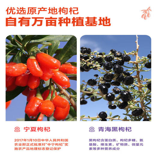 邮政农品早红晚黑枸杞原浆正宗宁夏中宁新鲜枸杞原浆不加一滴水早C晚A 红枸杞5盒新包装（30ML*50袋）