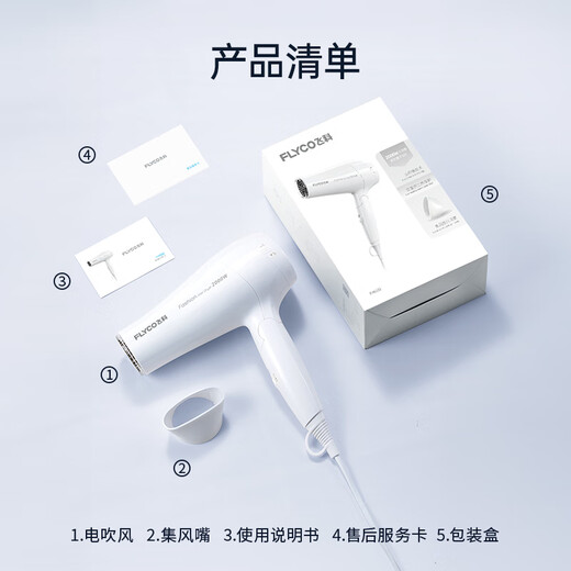 FLYCO hair dryer household hair salon high power 2000W fast-drying constant temperature portable foldable white FH6232