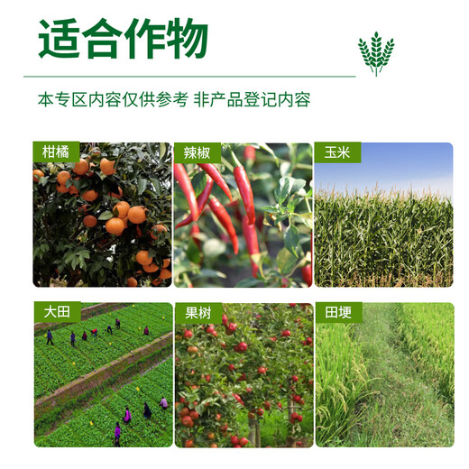Yingtai Biotech NUTRICHEM N40% sclerotia net red spot disease rapeseed sclerotinia special pesticide pesticide fungicide sclerotia net bacteria and grass net benefit