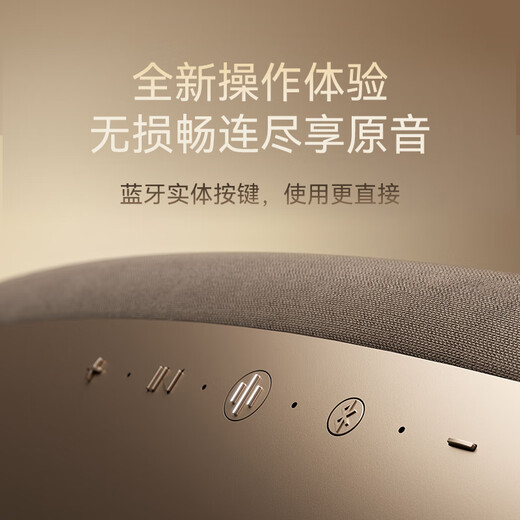 Baohua Wei Jian Zeppelin Pro national subsidy Zeppelin 6th generation B&W wireless HIFI Bluetooth speaker smart audio Christmas gift Chenxi Gold