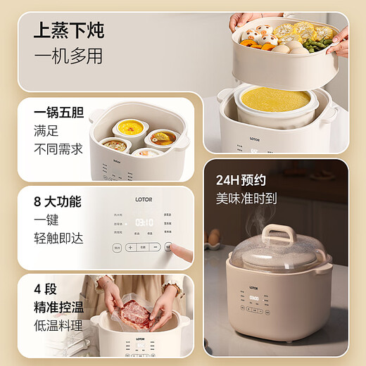 LOTOR electric stew pot for stewing soup, household water-proof bird's nest stew pot, ceramic porridge artifact, baby food supplement pot for 2-3 people, 4 LD-DDZ40 steamer