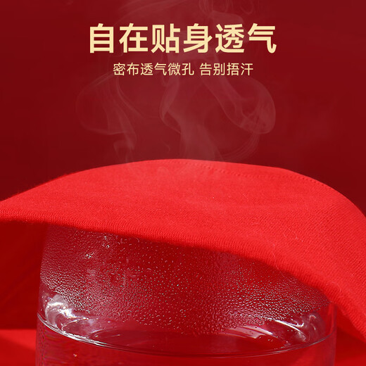七海秋蛇年本命年大红色内裤女纯棉高腰收腹全棉档结婚大码内裤4条装XL