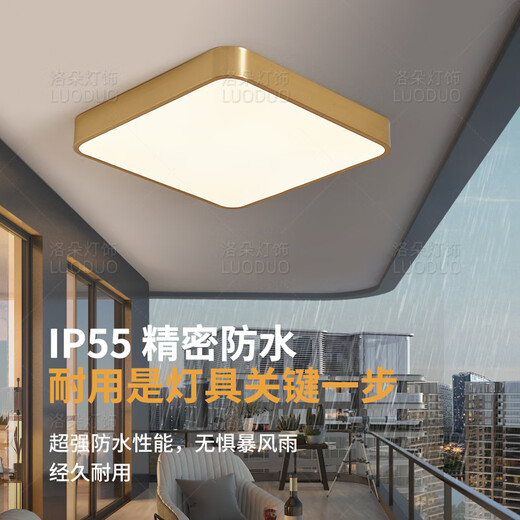 耐用全铜户外吸顶灯别墅超薄入户门灯走廊过道阳台灯露台防蚊虫庭 新X3893-800/方形