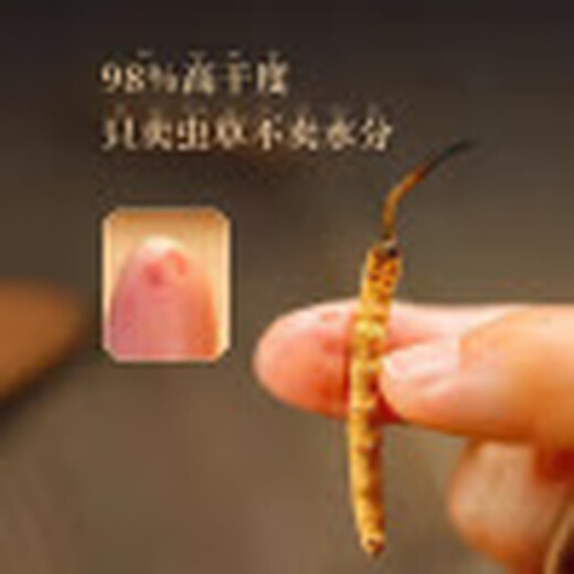 
Baiwanji Cordyceps sinensis, 2 gram of Cordyceps sinensis per gram of dry goods Cordyceps sinensis gifts 50 gift boxes
