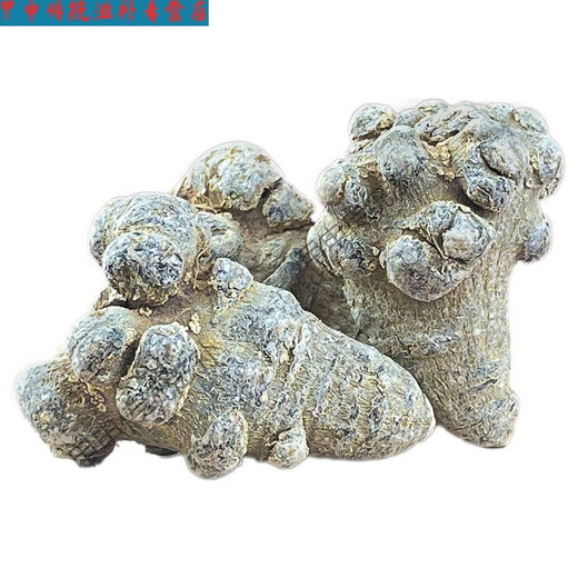北京同仁堂【三七降价】正宗云南三七头整个60头批发价田七非野生三七 整个三七【20克】