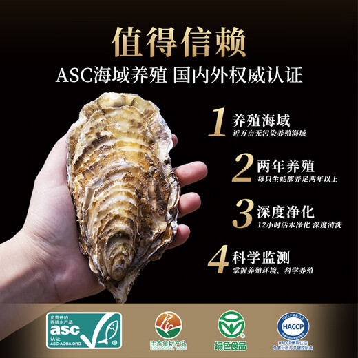 Lighthouse Jellyfish Fresh Rushan Oyster No. 6XL Net weight 5 Jin Jin equals 0.5 kg Straight from the source