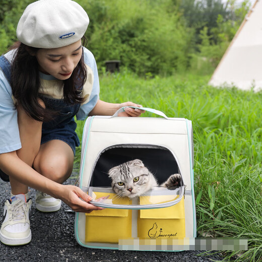 猫包双肩太空包外出便携背包高颜值手提小狗狗透气舒适猫咪宠物包 粉拼蓝