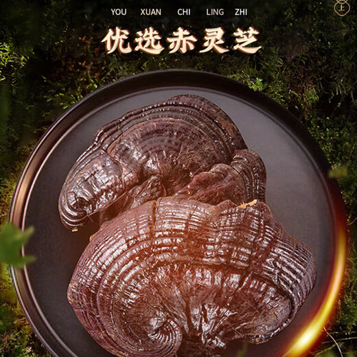 
Lei Yun Shang Breaking Wall Ganoderma Lucidum Spore Powder Changbaishan Red Ganoderma Lucidum Powder Enhances Immunity Health Supplements for Adults and Middle-aged and Elderly [50 Days] Spore Powder Gift Box 100g*1 Box