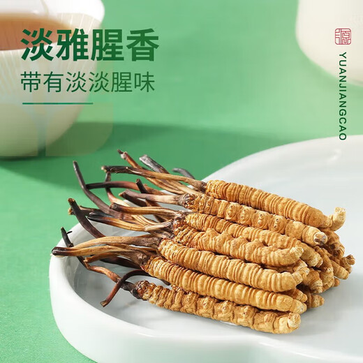 源江草冬虫夏草 新干虫草滋补品送父母长辈滋高端礼盒 3-4根/g 50克【商务礼盒】