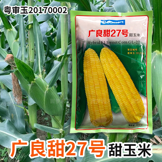 Wannong Tiannuo 158 corn seeds, high-yielding fruit corn seeds for all seasons, sweet, soft and sticky corn seeds, Guangliangtian No. 27 sweet corn original 400g