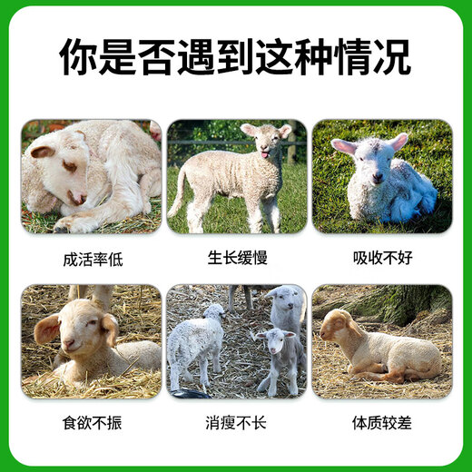 Yingmeier Yingmeier lamb premix pulled lamb precise opening material frame special fattening and weight gain ewe premix 20kg*2 bags 102 per bag