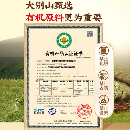 同仁堂破壁灵芝孢子粉礼盒装送长辈成年中老年增强免疫力年货礼品90g/盒 【性价比装】灵芝孢子粉6盒装 赠礼袋