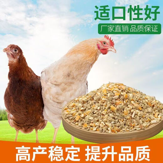 Factory direct sales 80 Jin Jin equals 0.5 kg layer hen feed for hens, egg laying broiler fattening pellets, full price nesting breeding special 10 Jin Jin equals 0.5 kg layer hen feed