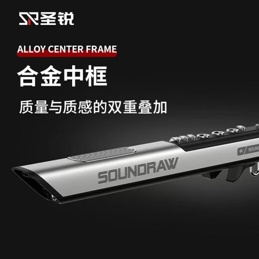 Shengrui SR8000 ELECTRICA TUBE BLAJETSHIP NUEVO MODELO DE PERSONAS DE MEDIO Y MEJORES Instrumento musical para principiantes Saxofón eléctrico Flauta de seda