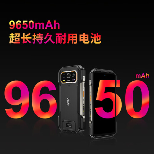 遨游（AORO）A30-12+256G 菲力尔（FLIR）热成像仪测温IP68三防5G工业专业级智能手机大电池 A30-12GB+256GB 热成像三防版