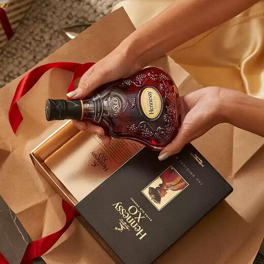 轩尼诗（Hennessy）法国干邑白兰地 洋酒 vsop xo 原瓶进口 商务宴请送礼 轩尼诗XO 700mL 单支装