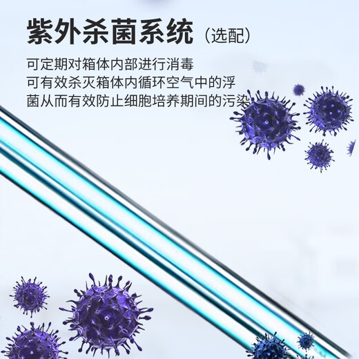 上海电热恒温培养箱种子催芽箱微生物培养箱实验室细菌培养箱 DHP-9272型
