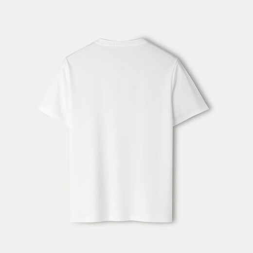 HLA Hailan House short-sleeved T-shirt men's 25 round neck commuting casual style short-sleeved men's summer